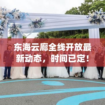 东海云廊全线开放最新动态，时间已定！
