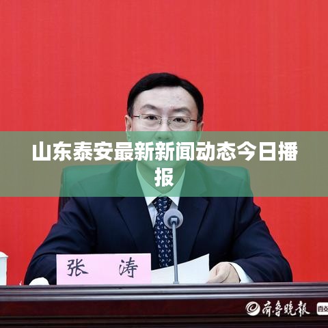 山东泰安最新新闻动态今日播报