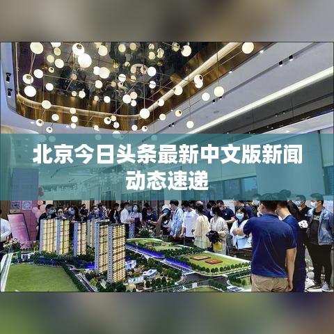 北京今日头条最新中文版新闻动态速递