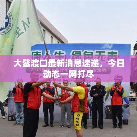 大鳌渡口最新消息速递，今日动态一网打尽