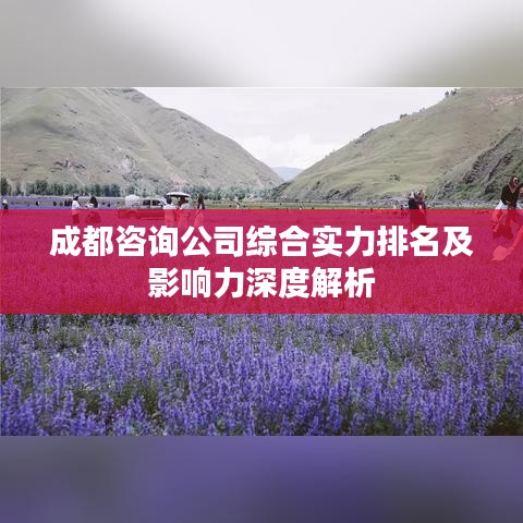 成都咨询公司综合实力排名及影响力深度解析