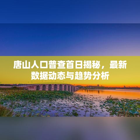 唐山人口普查首日揭秘，最新数据动态与趋势分析