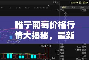 睢宁葡萄价格行情大揭秘，最新走势分析！