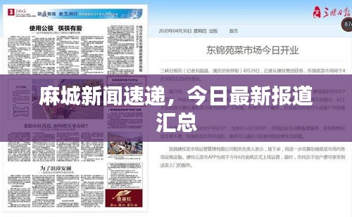 麻城新闻速递，今日最新报道汇总