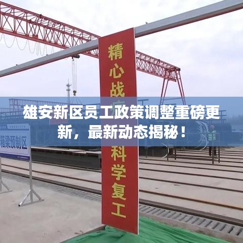 雄安新区员工政策调整重磅更新，最新动态揭秘！