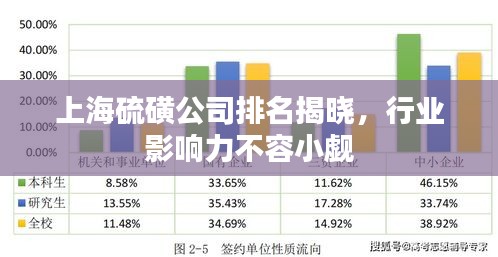 上海硫磺公司排名揭晓，行业影响力不容小觑