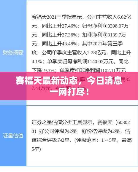 赛福天最新动态，今日消息一网打尽！