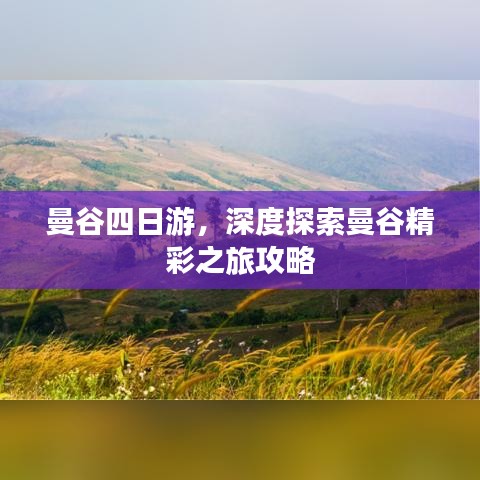 曼谷四日游，深度探索曼谷精彩之旅攻略