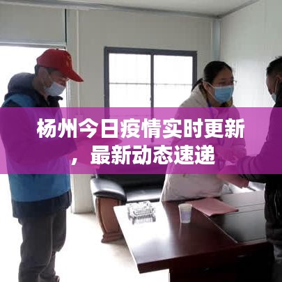 杨州今日疫情实时更新，最新动态速递