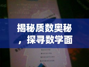 揭秘质数奥秘，探寻数学面纱下的秘密！