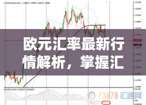 欧元汇率最新行情解析，掌握汇率走势，把握投资机会！