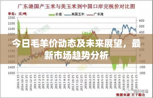分子筛 第20页
