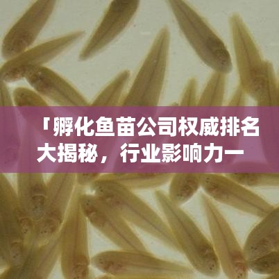 「孵化鱼苗公司权威排名大揭秘，行业影响力一览无余！」