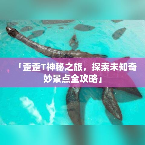 「歪歪T神秘之旅，探索未知奇妙景点全攻略」