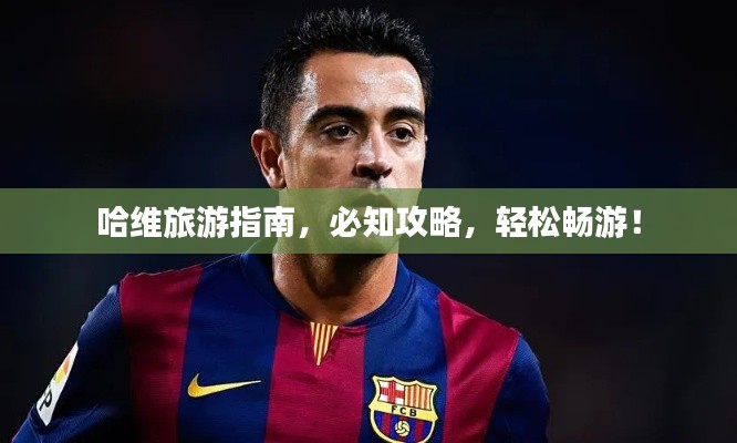 哈维旅游指南，必知攻略，轻松畅游！