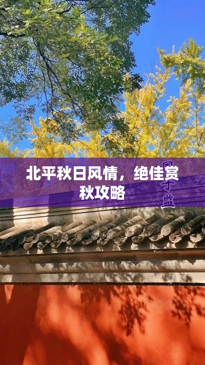 北平秋日风情，绝佳赏秋攻略