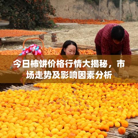 今日柿饼价格行情大揭秘，市场走势及影响因素分析