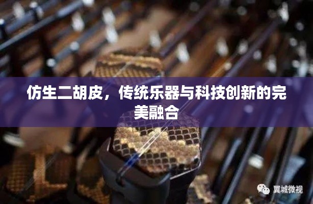 仿生二胡皮，传统乐器与科技创新的完美融合