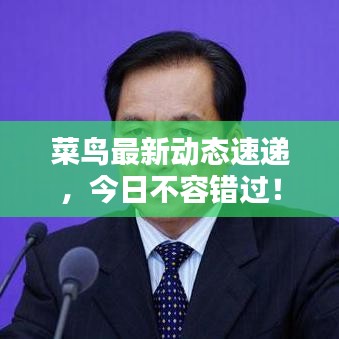 菜鸟最新动态速递，今日不容错过！