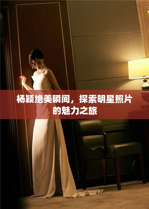 杨颖绝美瞬间，探索明星照片的魅力之旅
