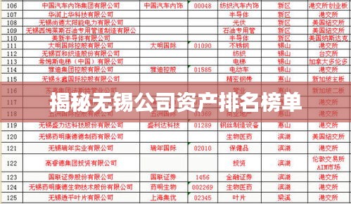 揭秘无锡公司资产排名榜单