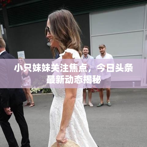 小只妹妹关注焦点，今日头条最新动态揭秘