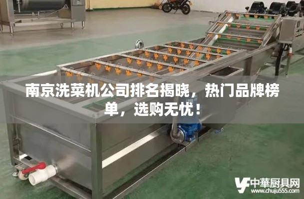 南京洗菜机公司排名揭晓，热门品牌榜单，选购无忧！