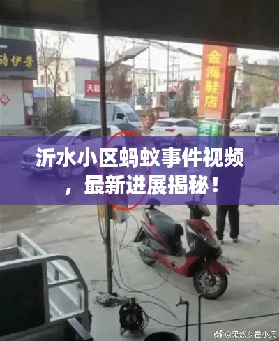 沂水小区蚂蚁事件视频，最新进展揭秘！