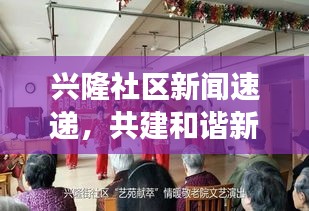 兴隆社区新闻速递，共建和谐新篇章，活力社区展现风采
