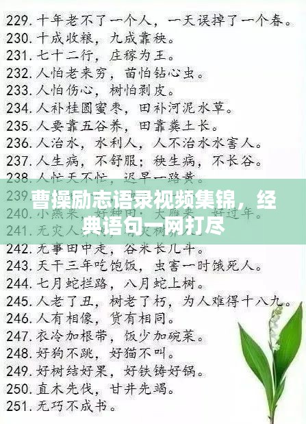 曹操励志语录视频集锦，经典语句一网打尽