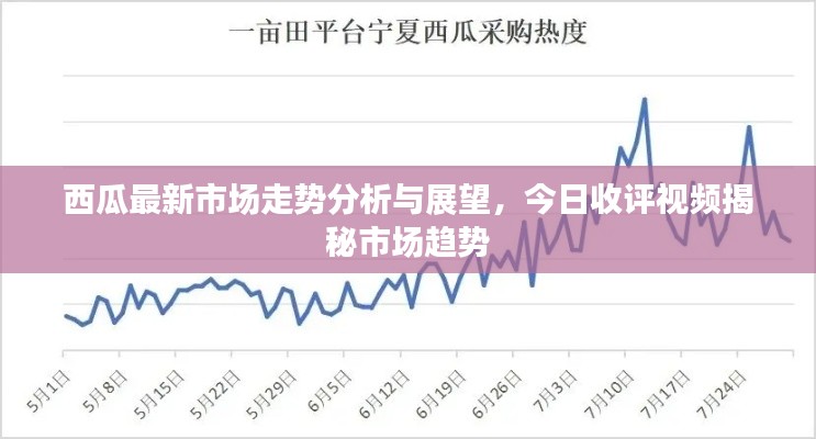 西瓜最新市场走势分析与展望，今日收评视频揭秘市场趋势