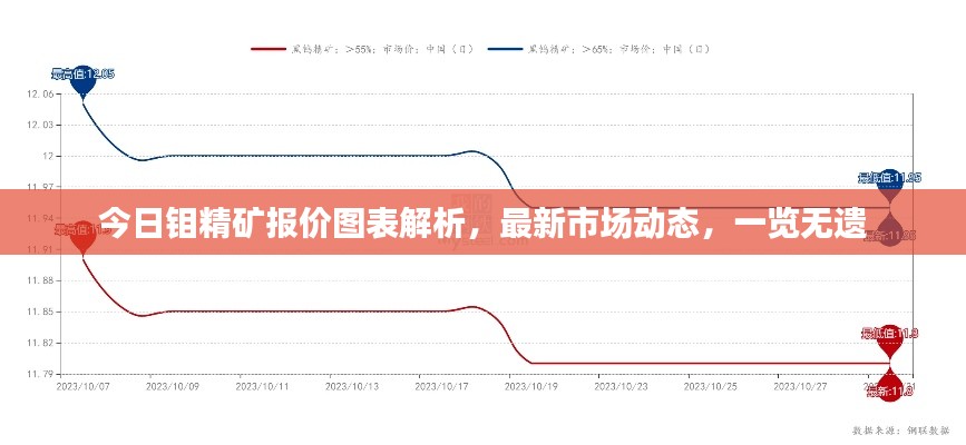 今日钼精矿报价图表解析，最新市场动态，一览无遗