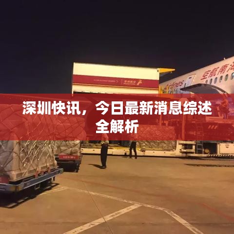 深圳快讯，今日最新消息综述全解析