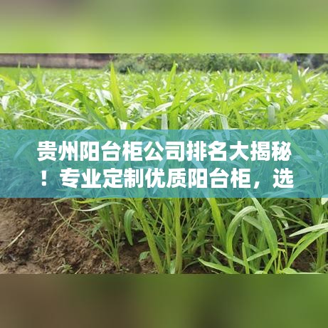 贵州阳台柜公司排名大揭秘！专业定制优质阳台柜，选购首选！