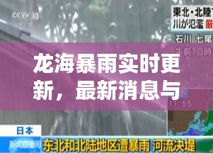 龙海暴雨实时更新，最新消息与新闻报道全在这里