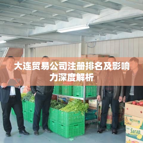 大连贸易公司注册排名及影响力深度解析