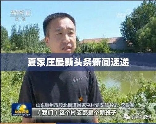 夏家庄最新头条新闻速递