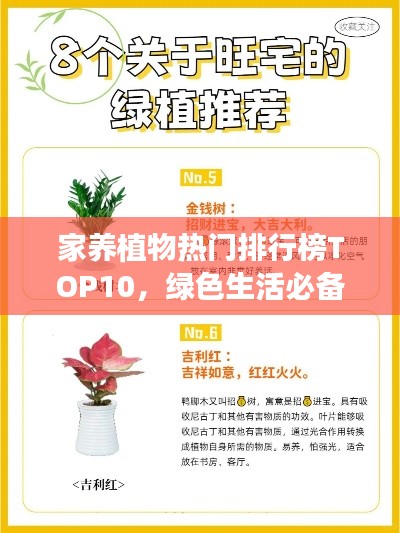 温柔敦厚