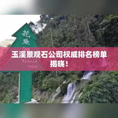玉溪景观石公司权威排名榜单揭晓！