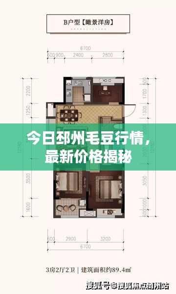 今日邳州毛豆行情，最新价格揭秘