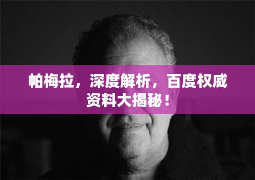 帕梅拉，深度解析，百度权威资料大揭秘！