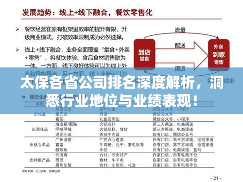 太保各省公司排名深度解析，洞悉行业地位与业绩表现！