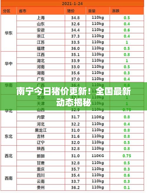 南宁今日猪价更新！全国最新动态揭秘