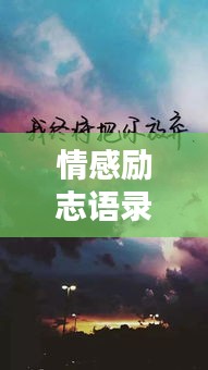 情感励志语录，追寻内心的光芒，点亮人生之路！
