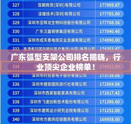 广东弧型支架公司排名揭晓，行业顶尖企业榜单！