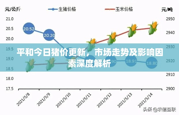 平和今日猪价更新，市场走势及影响因素深度解析