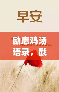 励志鸡汤语录，戳心之句，激发无限潜能的力量