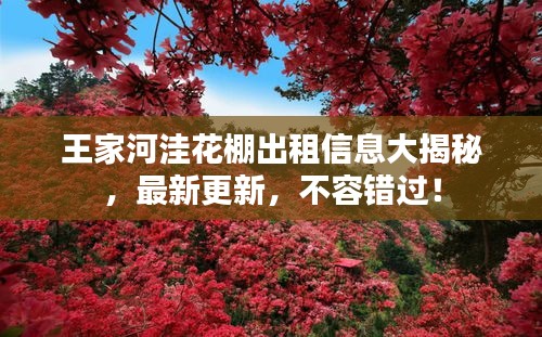 王家河洼花棚出租信息大揭秘，最新更新，不容错过！