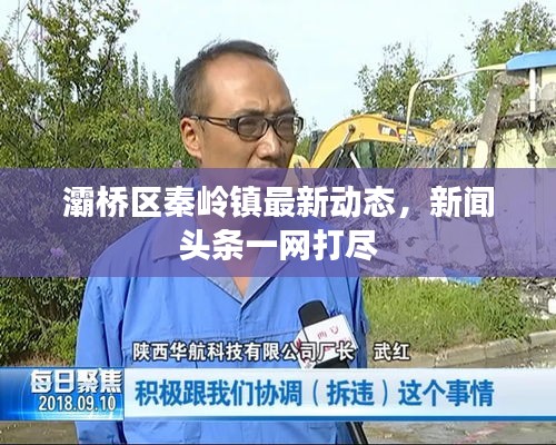 灞桥区秦岭镇最新动态，新闻头条一网打尽