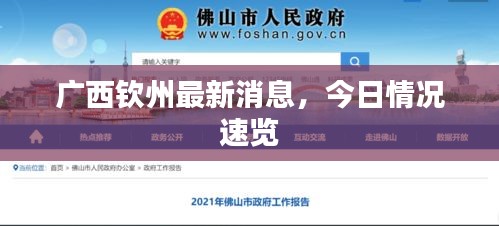 广西钦州最新消息，今日情况速览